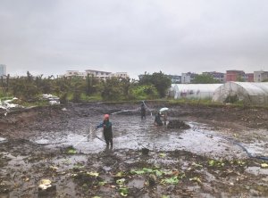 将乐河道鱼塘清淤
